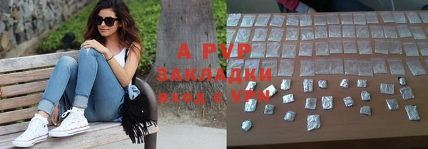 хмурый Инта