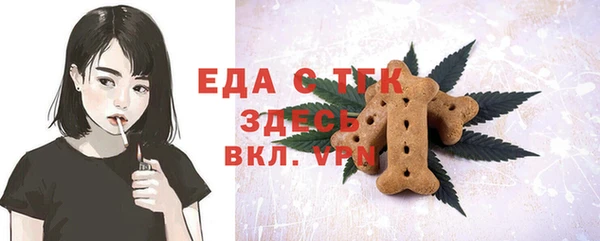 хмурый Инта