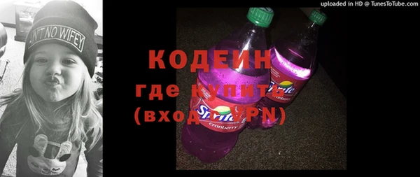 хмурый Инта