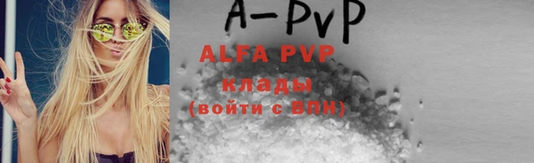 хмурый Инта