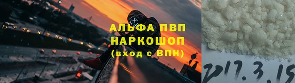 хмурый Инта