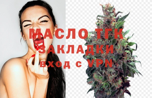 хмурый Инта