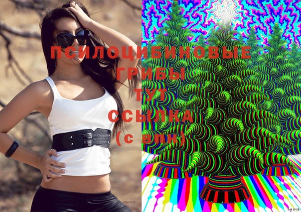 кокаин перу Иннополис