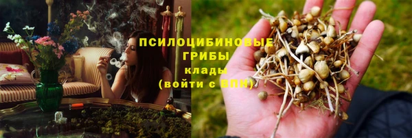 хмурый Инта