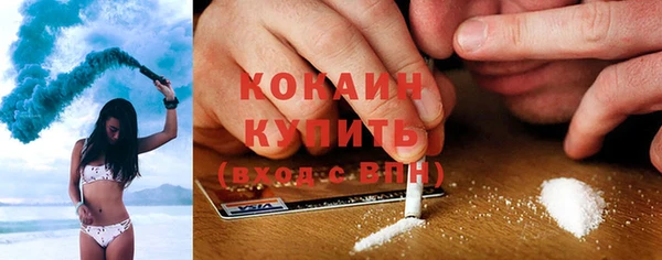 хмурый Инта