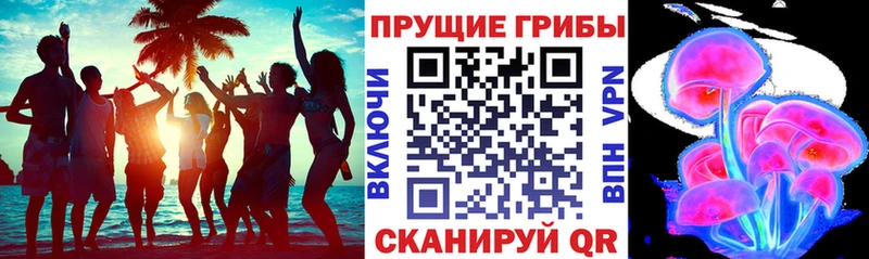 Купить закладки  Октябрьский  Псилоцибиновые грибы Cubensis 